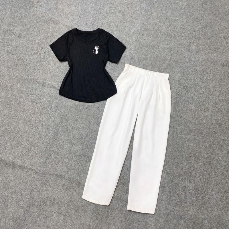 Set Áo Quần Bigsize CÓ LẺ ÁO Set Bigsize Năng Động Áo Babytee Thêu Mèo Vải Tăm QC Phối Quần Baggy Vải Cotton Cho Chuppy 50-95Kg