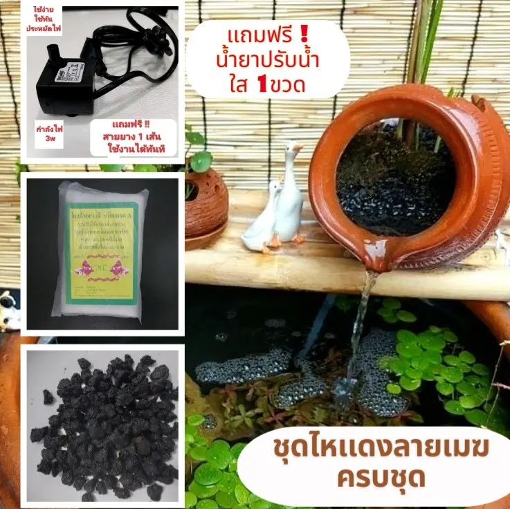 ไหเเดงลายเมฆ(ครบชุด) ไหเเดง+ปั้มน้ำ+สายยาง+หินลาวาดำ+ใยกรอง**เเถมฟรีน้ำยาปรับน้ำใสขวดเล็ก 1ขวด