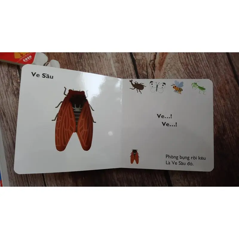 Sách - Ehon Nhật Bản cùng chơi trốn tìm - lẻ tùy chọn bộ 11 cuốn 5