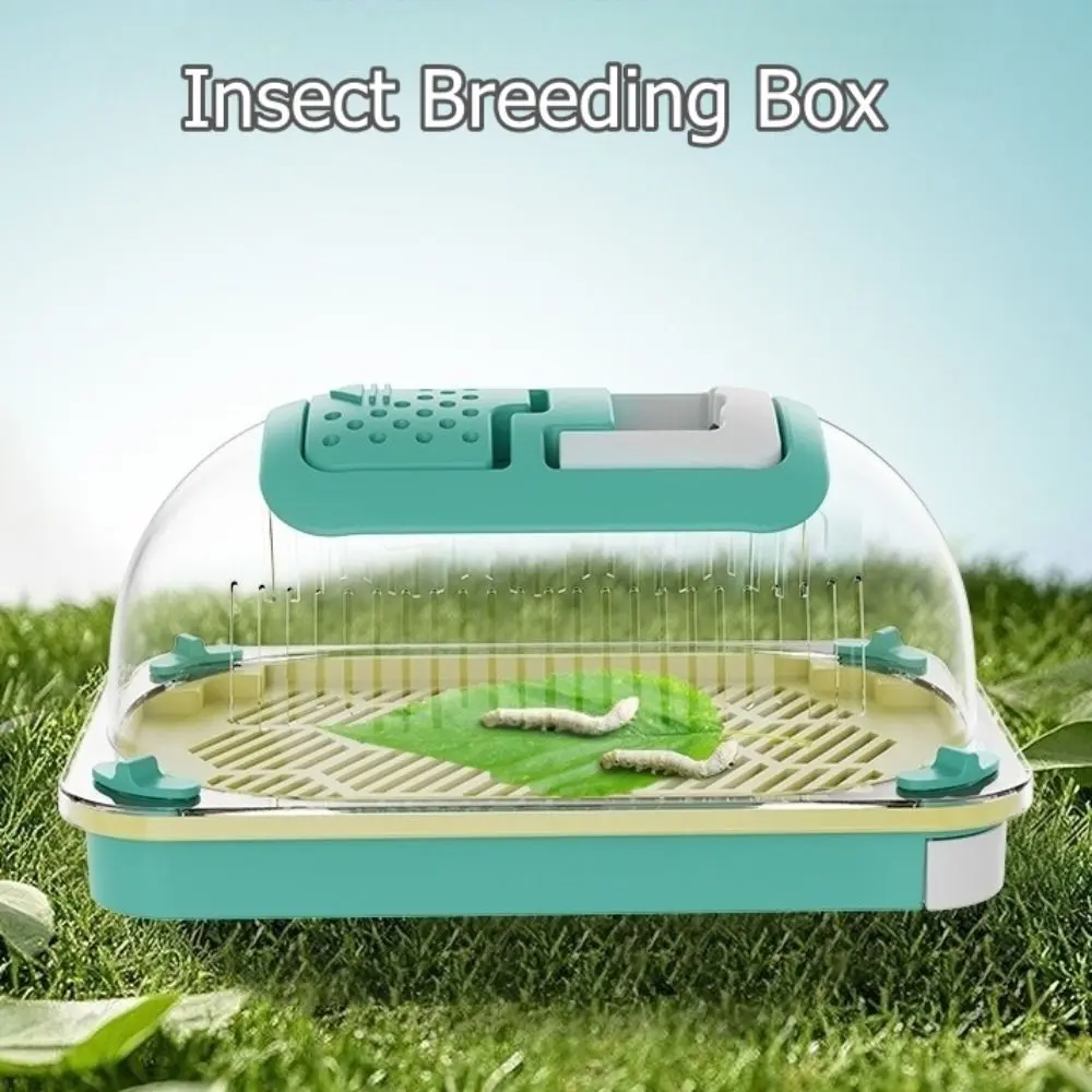 Portable Hand-held Insect Breeding Box Breathable Silkworms Snails Reptiles Observation Boxes Large Capacity Lizards Carrying Case for Outside