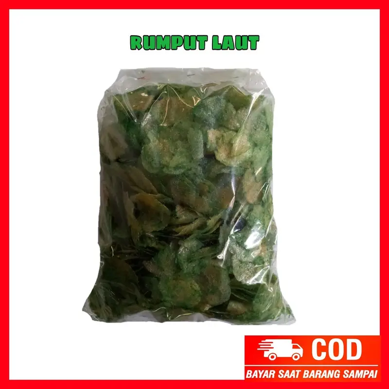 KERIPIK KACA RASA RUMPUT LAUT kripca beledag Snack Food Kripik cemilan kering Kripik keripik kaca well 5