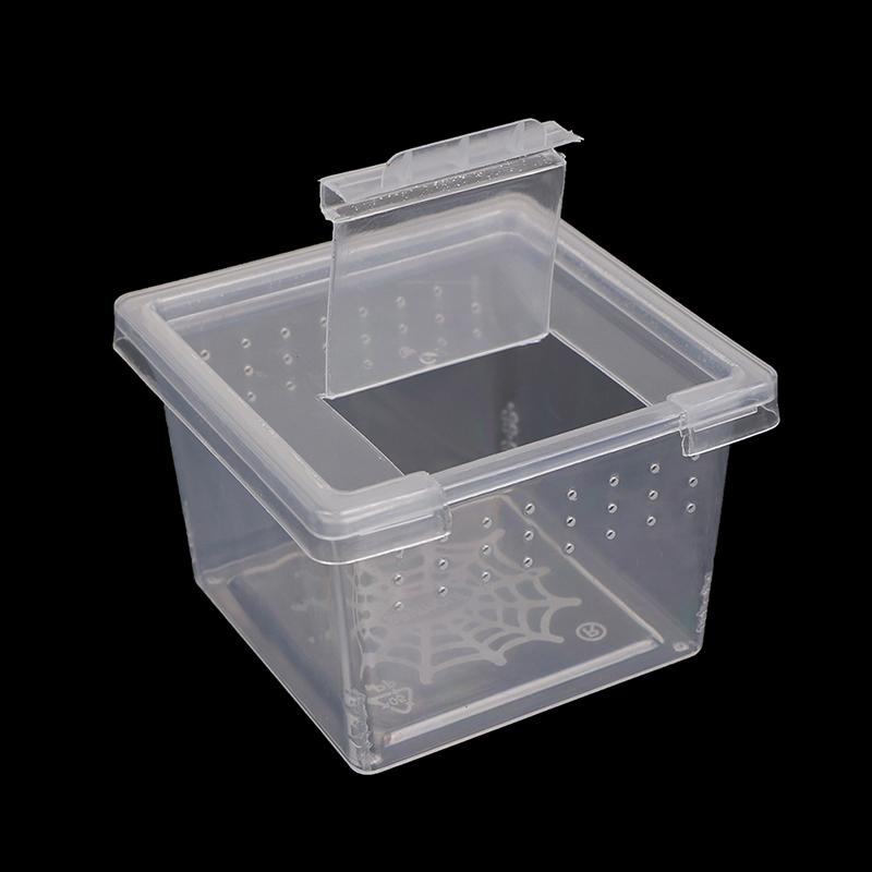 Product Introduction of Plastic Insect Spider Habitat Feeding Box Case Container Tank Transport Case Toy 14