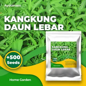 AYOTANAM Benih Kangkung Daun Lebar isi 500 Benih