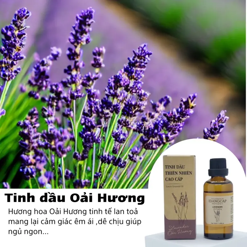 Siêu Ưu đãi Combo 5 lọ 10ml Tinh dầu thiên nhiên chính hãng 3