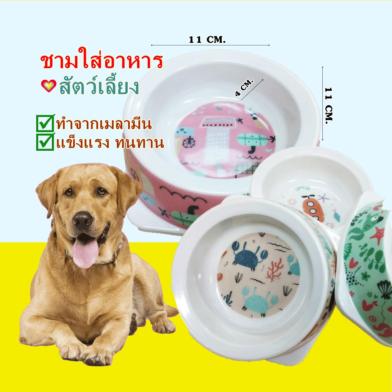 Boqi Factory ชามใส่อาหารสุนัขและแมว เมลามีนขนาด 11x12.5 cm #3038
