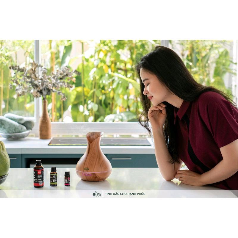Máy xông tinh dầu Bình Gỗ Haeva 2