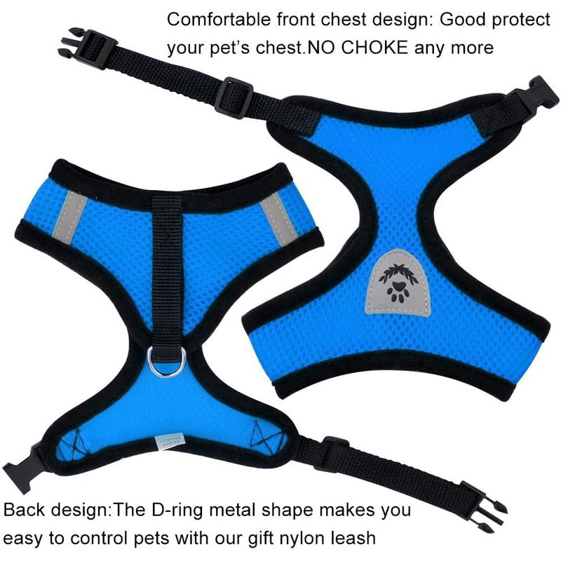 Product Introduction of Cat leash harness cat collar leash set cat leash for Cat puppy leash and collar Dog leash Pet leash 9