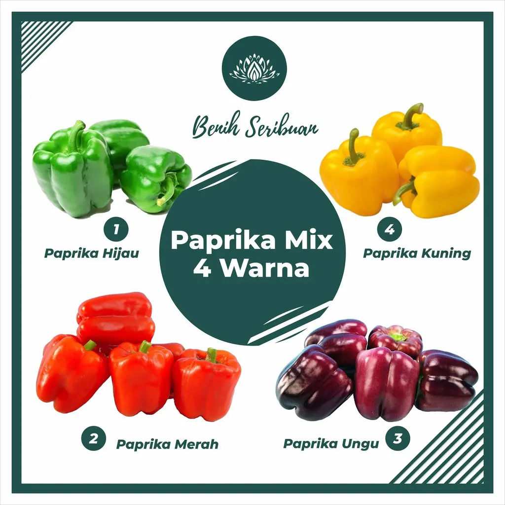 PAPRIKA MIXED