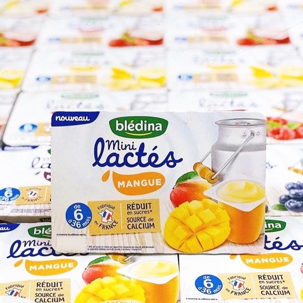 Sữa Chua Ăn Dặm Trẻ Em BLÉDINA LACTES Nhập Khẩu Pháp Các Vị Trái Cây