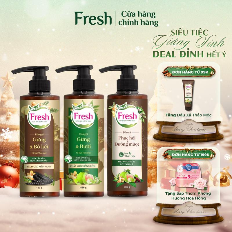  Dầu Gội Và Dầu Xả FRESH Thảo Mộc Dưỡng Sinh Hỗ Trợ Giúp Tóc Giảm Gàu Mềm Mượt Chắc Khỏe Bồng Bềnh 