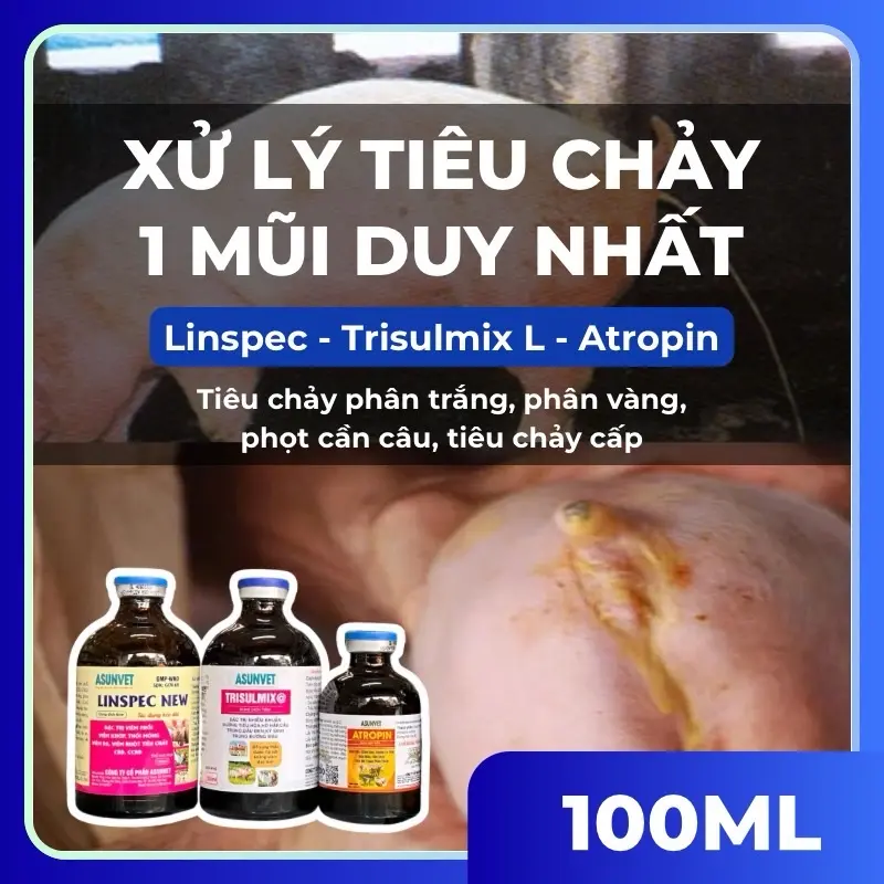 Asunvet 3 lọ tiêm Linspec 100ml, Trisulmix L 100ml, Atropin 50ml xử lý tiêu chảy 1 mũi duynhat, xử lý phân vàng, phân kem, tiêu chảy cấp trên heo