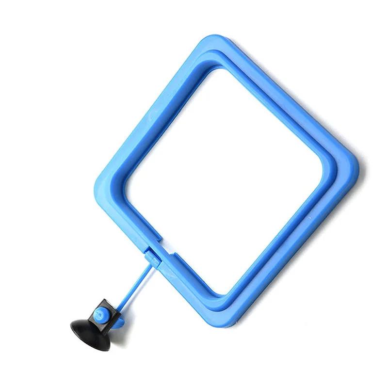 Product Introduction of Feeding Ring Aquarium Fish Tank Station Floating Food Tary Feeder Square/Circle Drop shipping 11