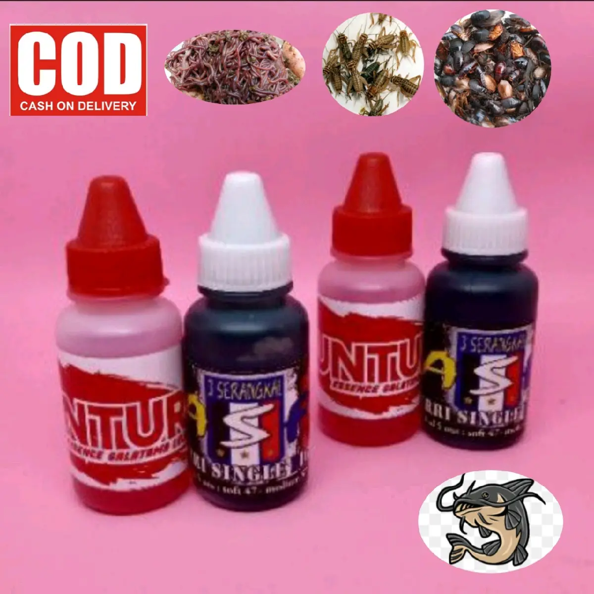 Essen asf dan Guntur merah