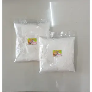 DOLOMIT 1 KG - Dolomit Gecko Alas Kandang Leopard Gecko Reptil Dollmite Kapur Kalsium Reptil