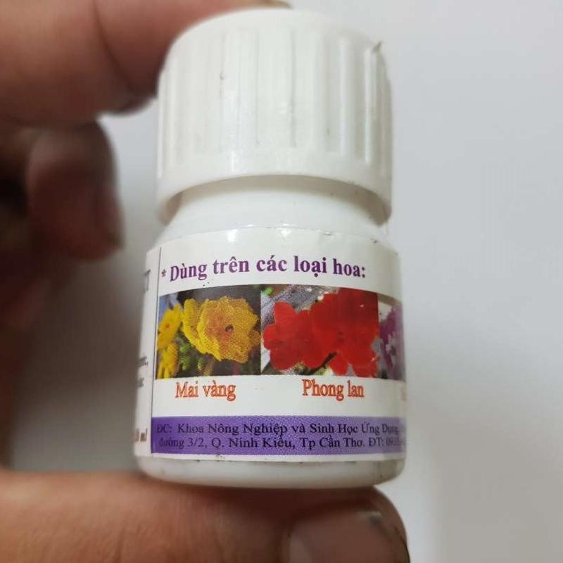 Phân bón lá hỗ trợ chống rụng cánh hoa mai vàng hoa giấy hoa lan 0