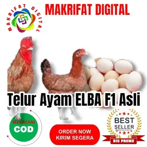 terbaruMAKRIFAT DIGITAL Paket 12 Pcs Telur FERTIL Ayam ELBA F1 ASLI Untuk Ditetaskan Produksi Farm Profesional Mitra Makrifat DigitalPROMO