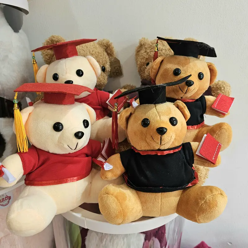 Gấu bông gấu tốt nghiệp gấu cử nhân có ghi tên thú nhồi bông gấu tốt nghiệp dễ thương cute đáng yêu 0