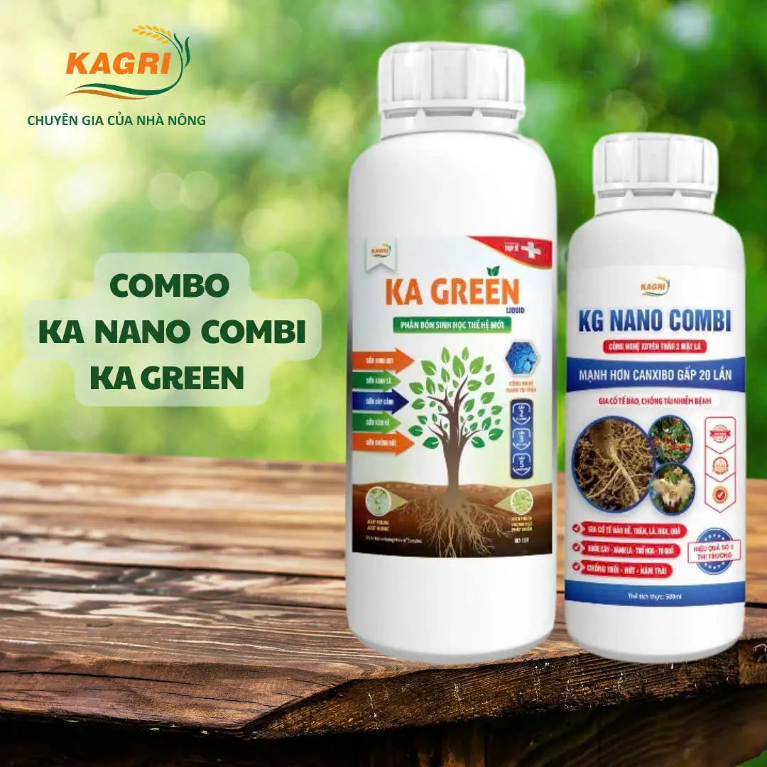 [KAGRI] Combo phân bón KA Green và KG Nano Combi - Giải pháp toàn diện cho cây trồng