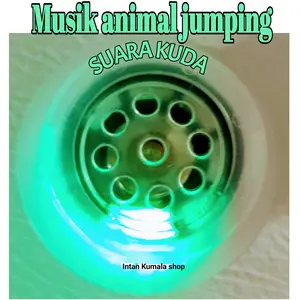 Mainan musik animal jumping led nyala warna warni dan musik/suara Belajar Lampu Frozen Kuda