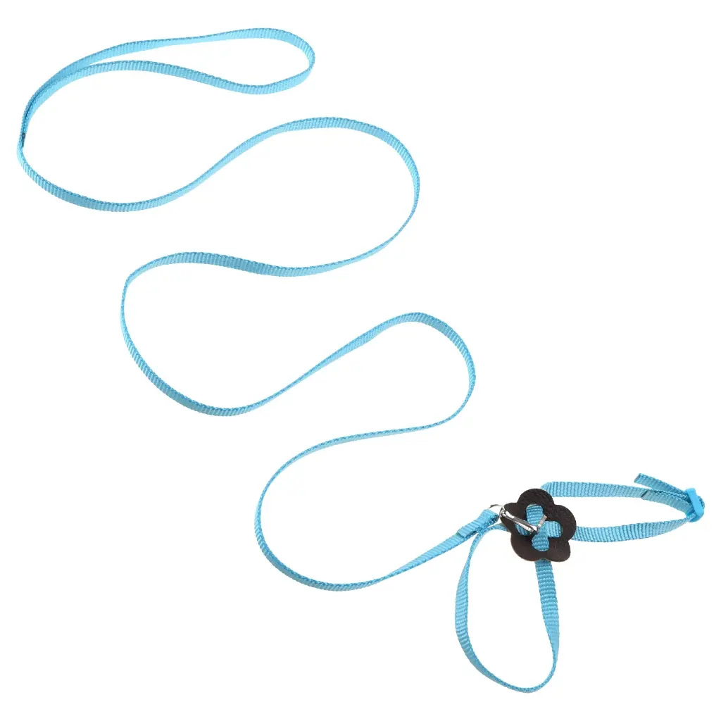 Adjustable Bird Harness 3.94 Ft Long Leash Kit Outdoor Flying Training Rope for Bird Parrots Bright Color 8-Shape Straps