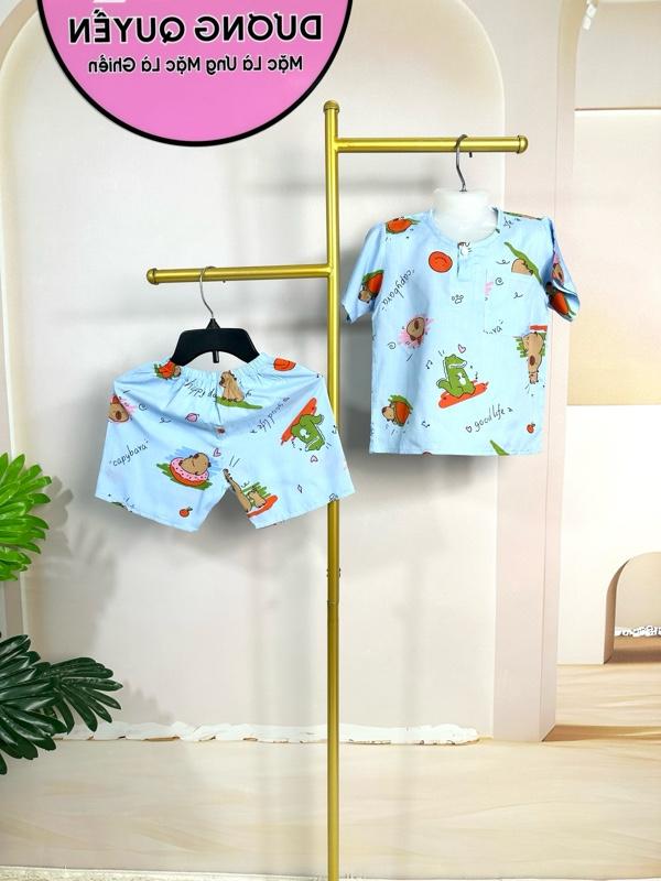 Product Introduction of DQ5 - 02. Bộ Quần Ngắn Áo Tay Ngắn Bé Trai. Chất Vải Tole Lanh Hai Da. Size 11kg đến 12kg. 18