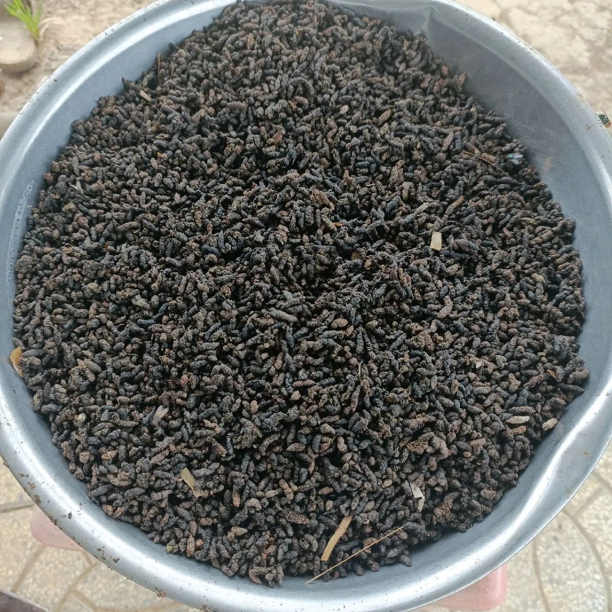 5kg Phân Dơi Nguyên Chất lấy từ chuồng nhà không pha trộn.