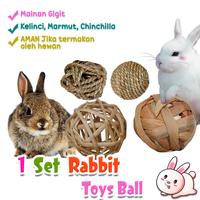Gambar 4 SET BALL FOR RABBIT, Mainan Gigit kelinci marmut chinchilla dari Onel Pets Store Kab. Tangerang 1 Tokopedia