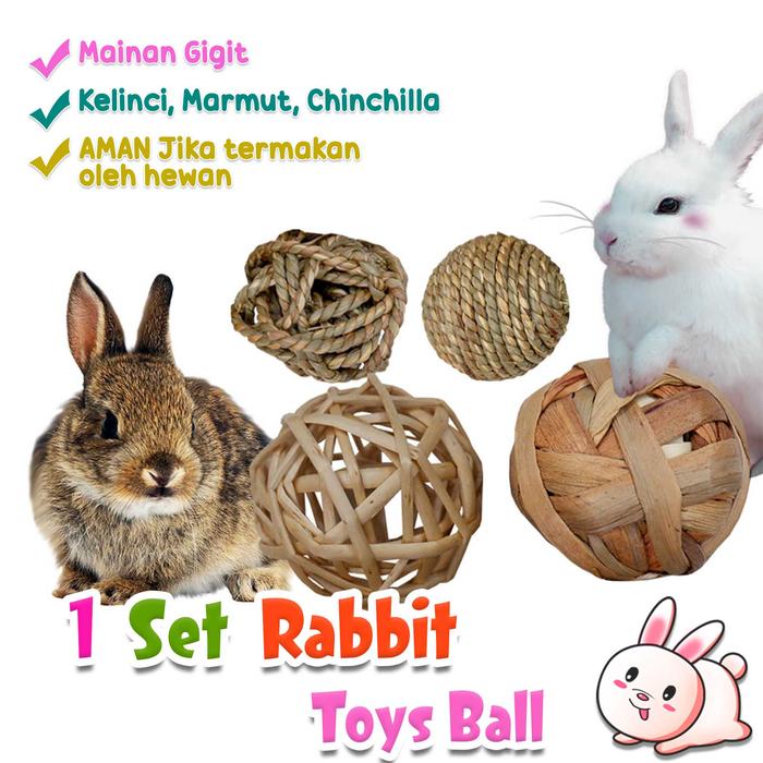 Gambar 4 SET BALL FOR RABBIT, Mainan Gigit kelinci marmut chinchilla dari Onel Pets Store Kab. Tangerang Tokopedia