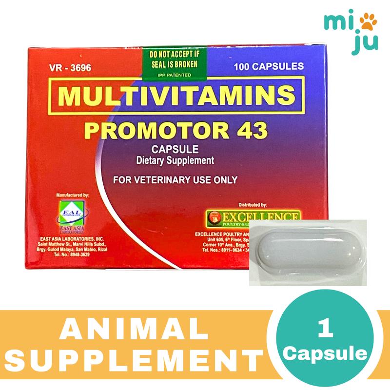 Promotor 43 - Multivitamins (1 Capsule Only) - TikTok Shop Philippines