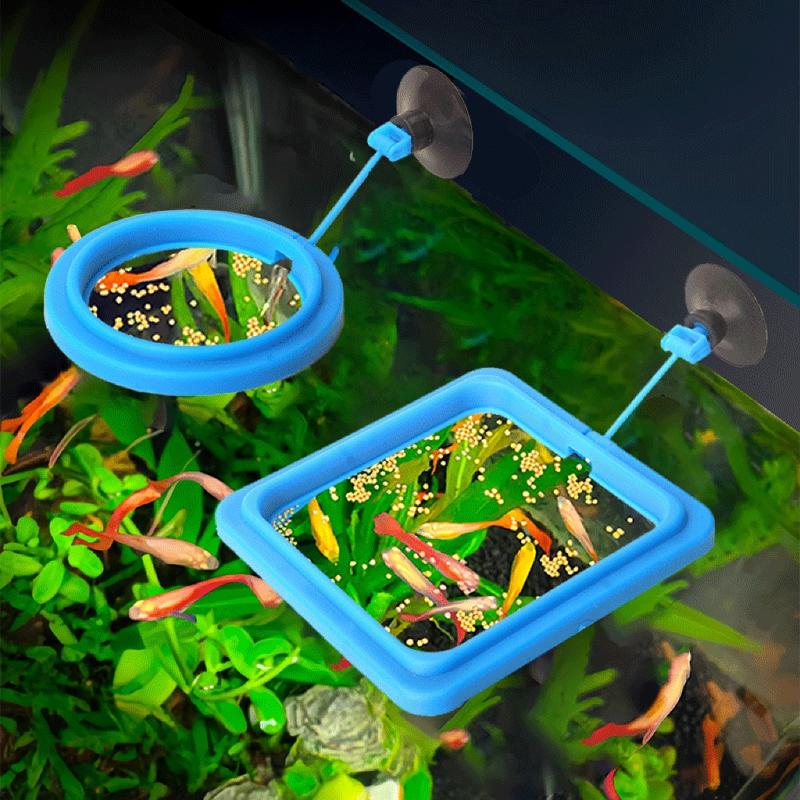 Yica 2pcs Fish Tanks Feeding Rings Small Fishes Feeders Rings Circle Buoyance Fish Feeders for Easy Installation And Cleaning 1