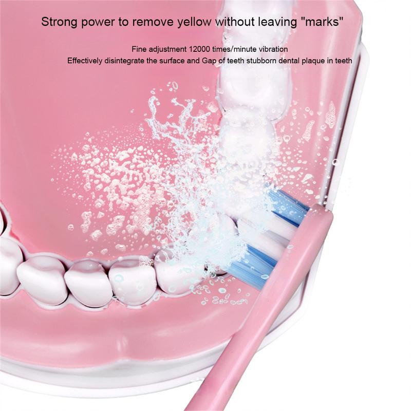 Product Introduction of Bàn Chải Đánh Răng Điện Siêu Âm, Cầm Tay, Gia Dụng, Lông Bàn Chải Mềm, Không Thấm Nước, Loại Nút, Tự Động, Lông Bàn Chải Mềm 19