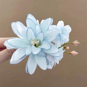 Klip Rambut Bunga Segar Gaya Cina, Sangat Elegan, Gaya Percutian Pantai, Aksesori Rambut Foto, Pembuat Sanggul Rambut, Klip Kuku Asli, Untuk Gadis, Klip Rambut Pen, Rekaan Bunga, Ketibaan Baru Clips Pins jepit  rambut  bu  putri