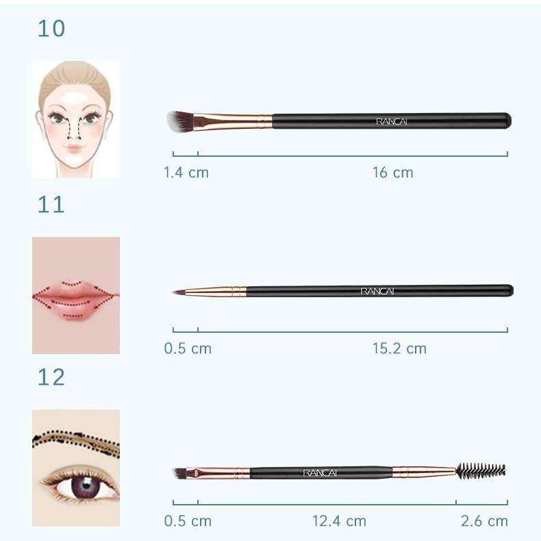 Hộp cọ 12 chổi trang điểm chuyê nghiệp RANCAI 7