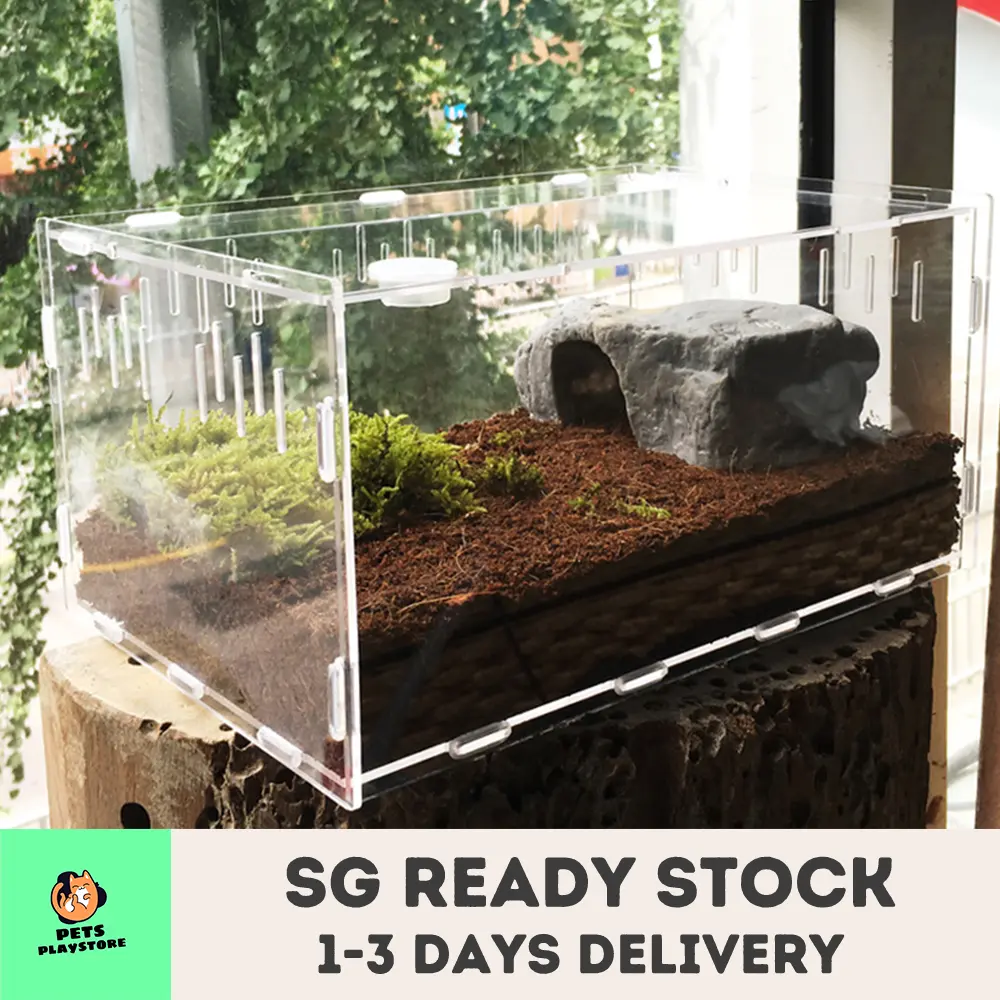 Transparent Acrylic Reptile Box for Spiders Lizard with Multiple Ventilation Holes