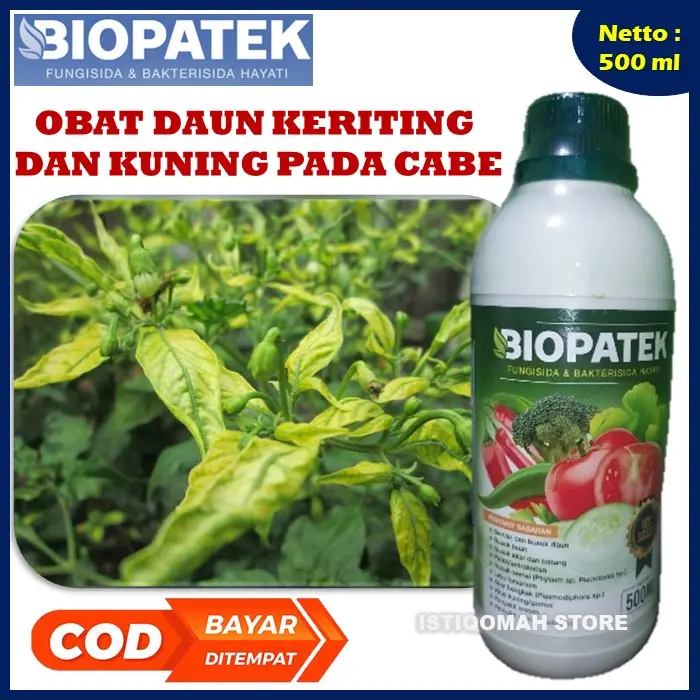 PROMO COD BIOPATEK Fungisida Hayati Obat Cabe Keriting - Obat Cabe Daun Keriting Dan Kuning - Obat Virus Cabe Kriting - Obat Cacar Daun Cabai Merah - Obat Cabe Anti Patek - No Patek Cabe - Obat Virus Gemini Tanaman Cabe Virus Kekuningan Cabai AMPUH LARIS