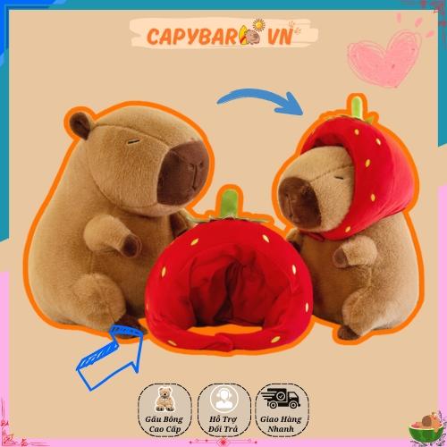 Gấu Bông Chuột Capybara Đội Mũ Dâu Đáng Yêu Thú Bông Thú Nhồi Bông gấubông capybara Đồ Chơi Toy gấubông capybara Phát Nhạc