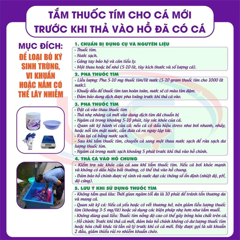 Thuốc tím Uông Gia  [ 100 Gam ] cho cá - Giải pháp sức khỏe và xử lý hồ cá, liều dùng 3g/m3 2