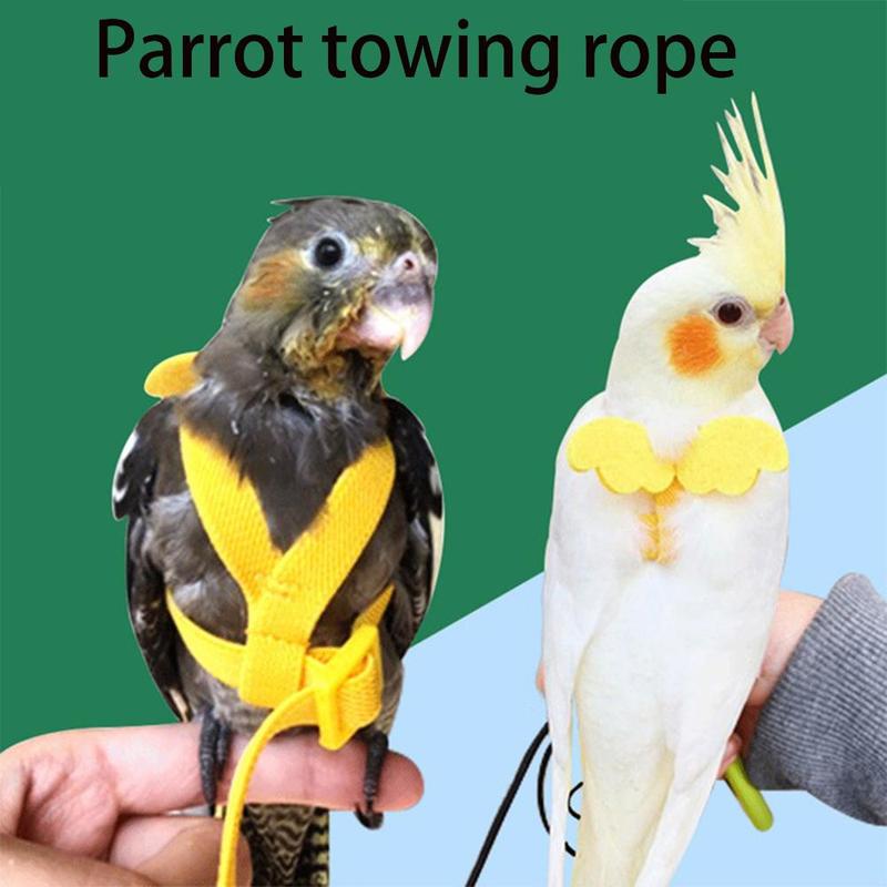 Product Introduction of thingin Macaw For Small Medium Birds Rope With Wing Flying Training Bird Nylon Bird Harness Bird Traction Belt Flight Training Rope Bite 9