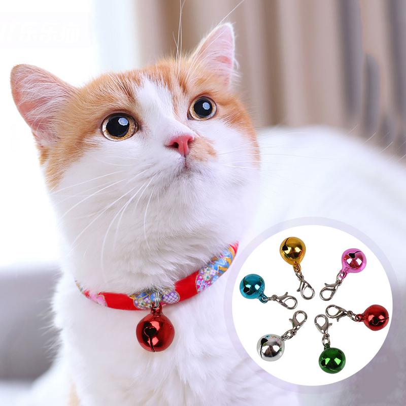 Stunning Tiktok Easy Diy Pet Accessories image