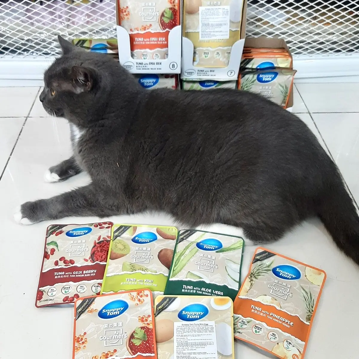 Pate Snappy Tom vị trái cây