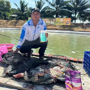 Đồ Câu Boo Mập Fishing - EWF