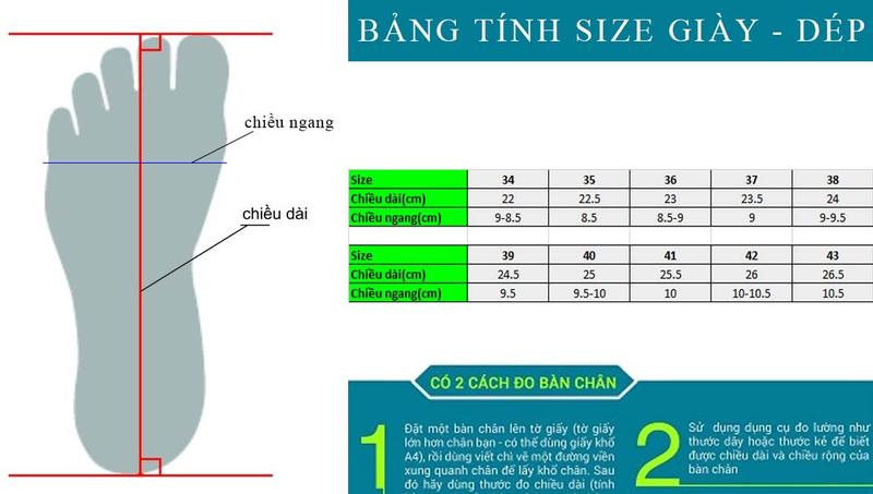 Product Introduction of Dép kẹp Da Bản to 3 màu xinh xắn (form chuẩn) DéP Nữ 9