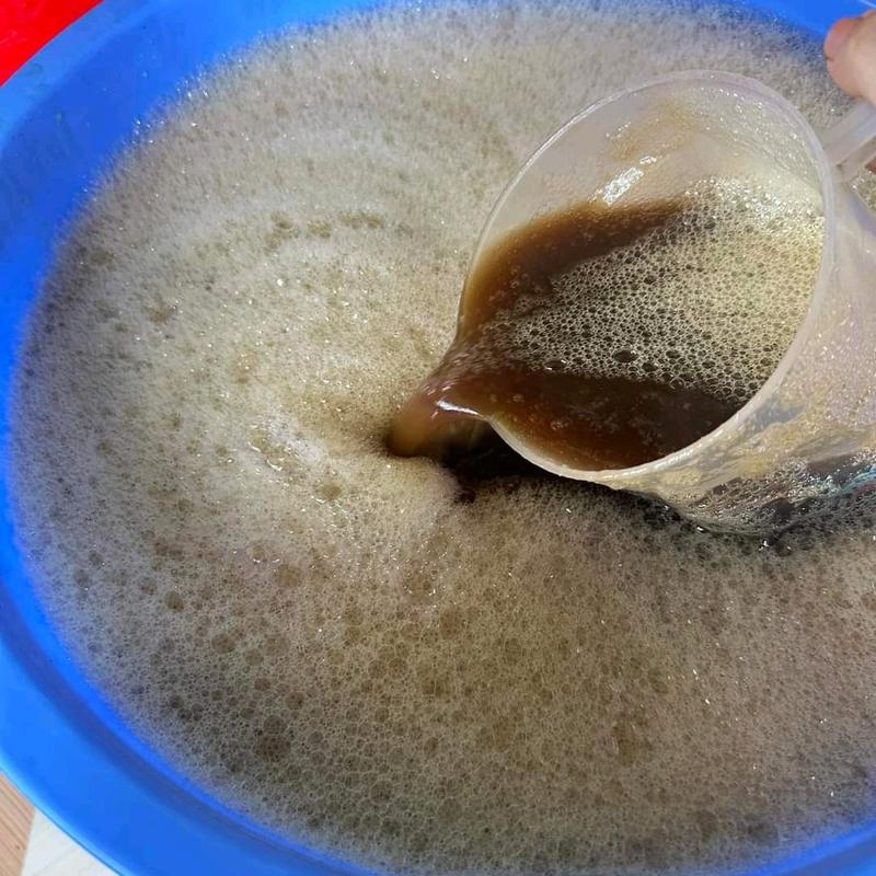 LIỆU TRÌNH  2 CHAI 500ml DẦU GỘI BỒ KẾT THẢO DƯỢC Hỗ trợ giảm nấm gàu và cải thiện tình trạng tóc bạc sớm 7
