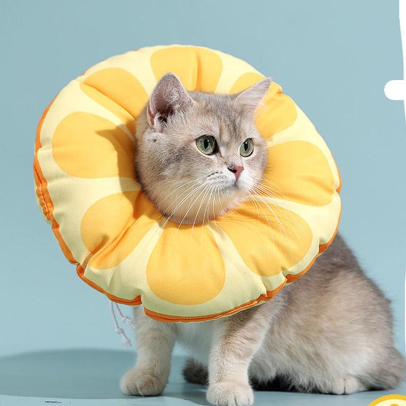 HEHUS djustable and Soft Recovery Cone Collar Perfect for Small Pet Healing Process 4
