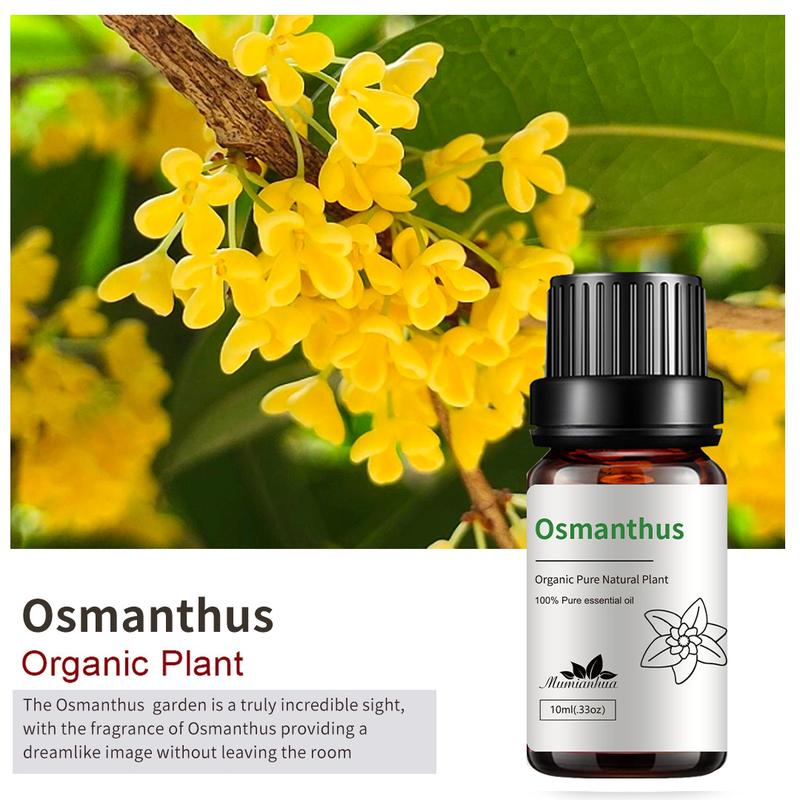 Tinh Dầu Thơm, 10ml, Hương Nến Freesia, Tinh Dầu Thiết Yếu Đơn, Hoa Nhài, Tinh Dầu Dưỡng Da, Tinh Dầu Hoa Mát Xa, Mùi Xà Phòng 8