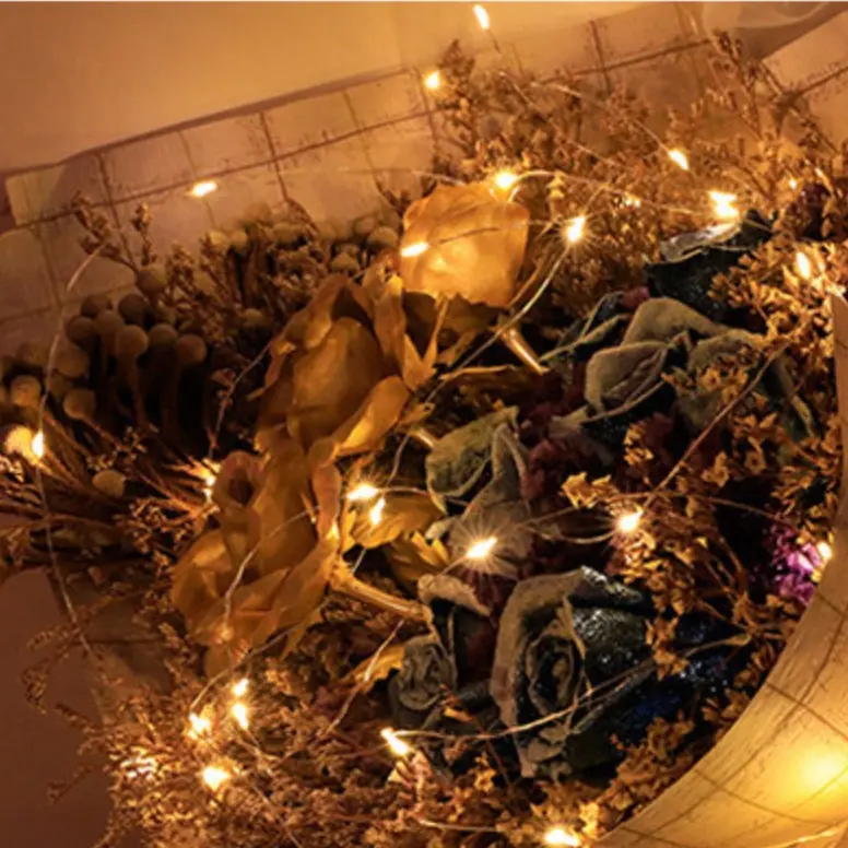 Đèn Led mini siêu sáng dây Đồng Fairy Light Dài 1m /2m/3m sử dụng Pin AA / sẵn pin 7