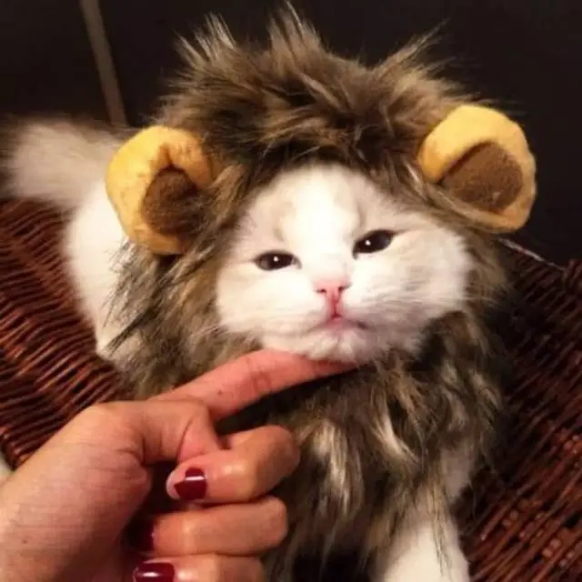 Topi Kucing Model Wig Rambut Singa Dengan Telinga Mainan Kostum Kucing Anjing Pet Cap Lion Hair Topi Kupluk Pakaian - Baju Kucing Anjing " TOPI RAMBUT SINGA" Dog Cat Toys - Topi Kucing Singa Cap Rambut Topi Wig Desain Singa Dengan Telinga Untuk Kostum 1