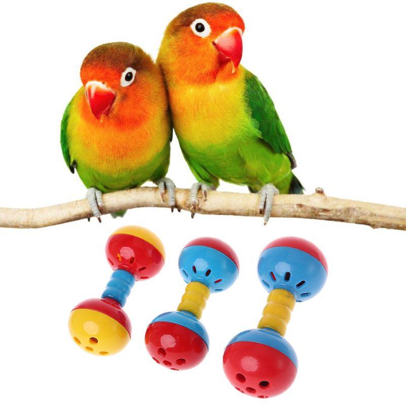 Product Introduction of Parrot Rattle Bells Birds Chewing Cage Parakeet Play Accessories 2