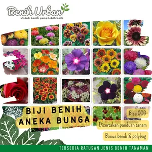 Benih Bunga Terlengkap Bibit Bunga Matahari Mawar Zinnia Vinca Krisan Marigold