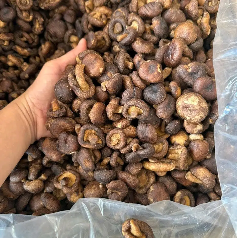 Nấm hương sấy giòn điện biên chất lượng cao